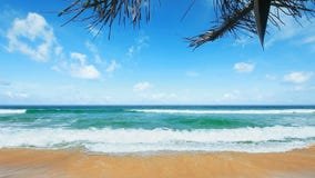 Tropical Paradise